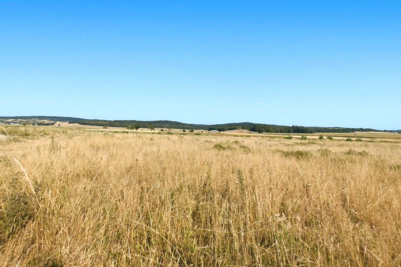 Gro�z�giges Baugrundst�ck mit eigener Zufahrt ? 1.175 m� und bis zu zwei Wohneinheiten /  / 2111&nbsp;Harmannsdorf / Bild 15